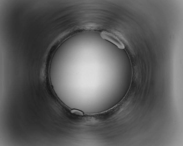 X0000089830392200707121645