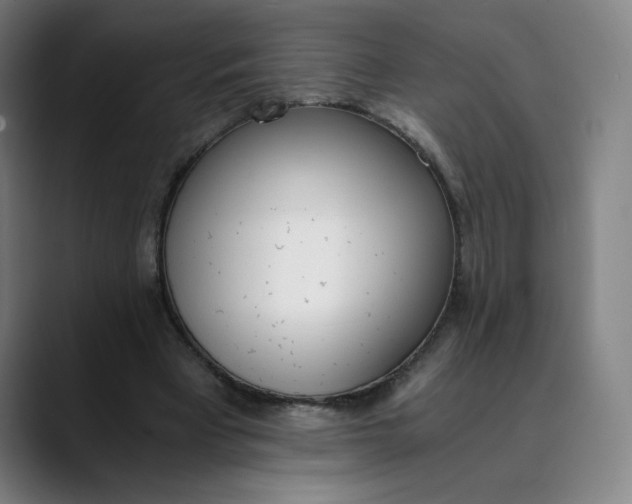 X0000089830393200707121645