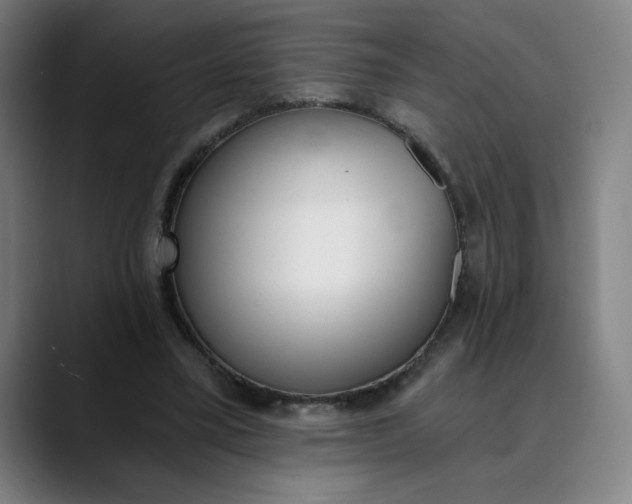 X0000089830395200707121645