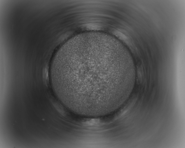 X0000089830398200707121644