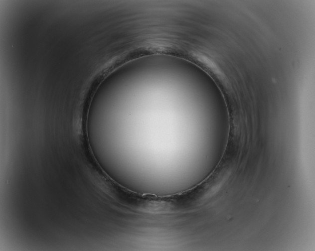 X0000089830399200707121644