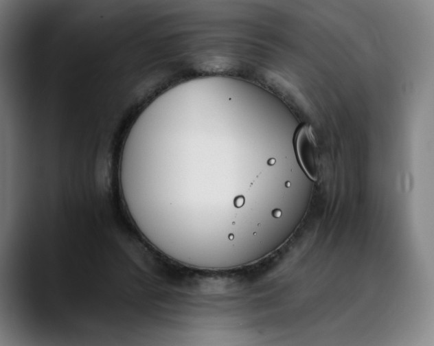 X0000089830400200707121644