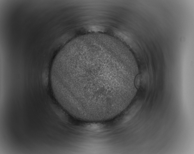 X0000089830402200707121644