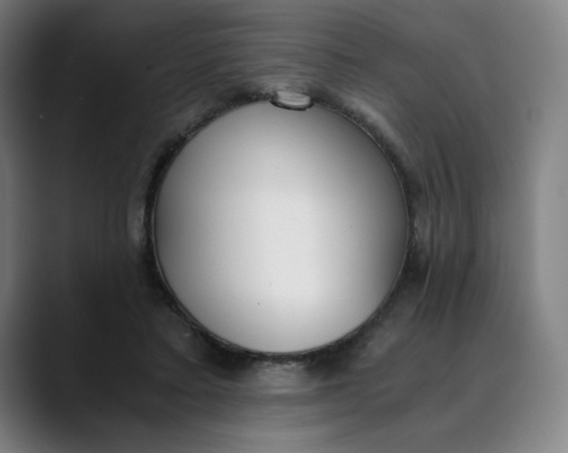 X0000089830403200707121644