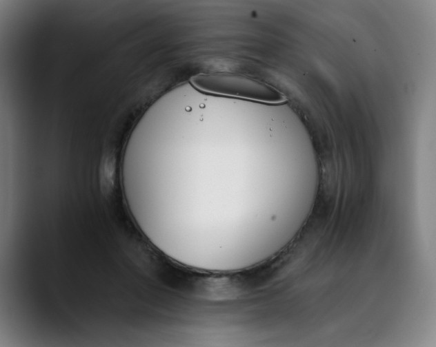 X0000089830406200707121644