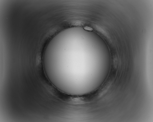 X0000089830407200707121644