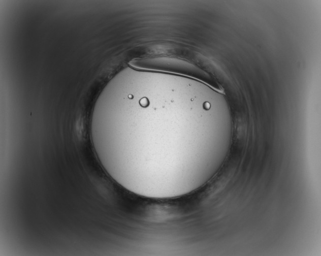 X0000089830408200707121644