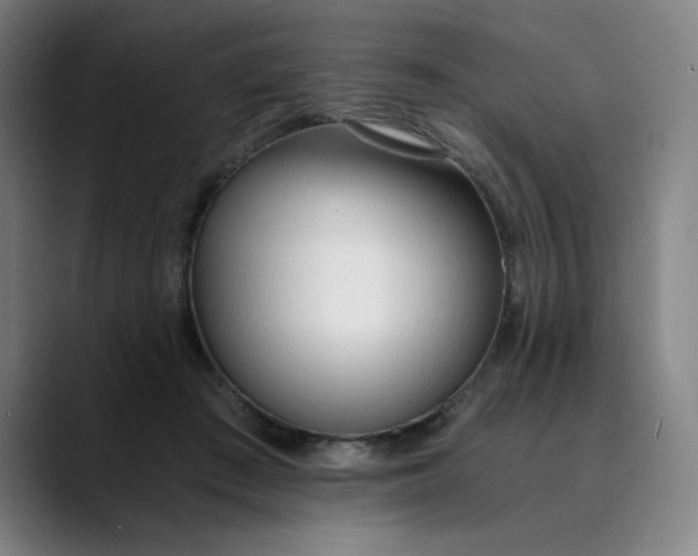 X0000089830409200707121644