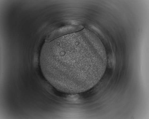 X0000089830410200707121644