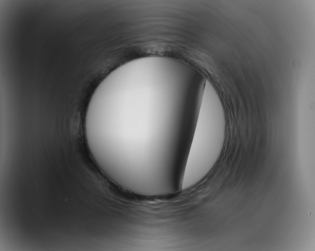 X0000089830411200707121644