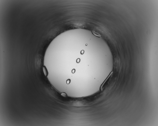 X0000089830412200707121644