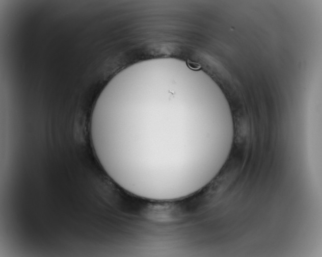 X0000089830414200707121644