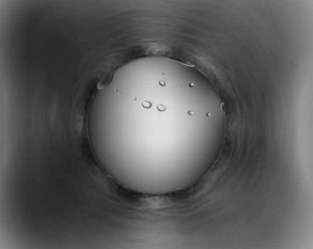 X0000089830417200707121644