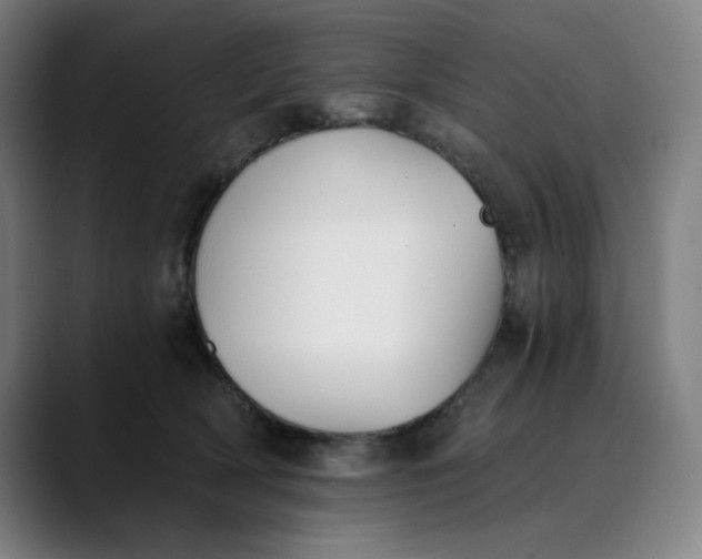 X0000089830418200707121644