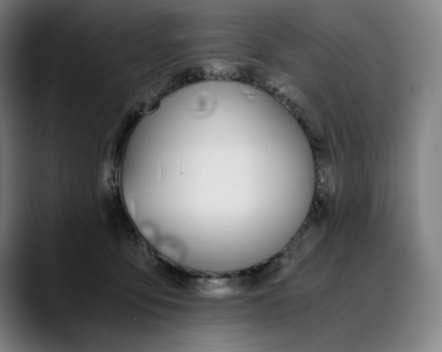 X0000089830419200707121644