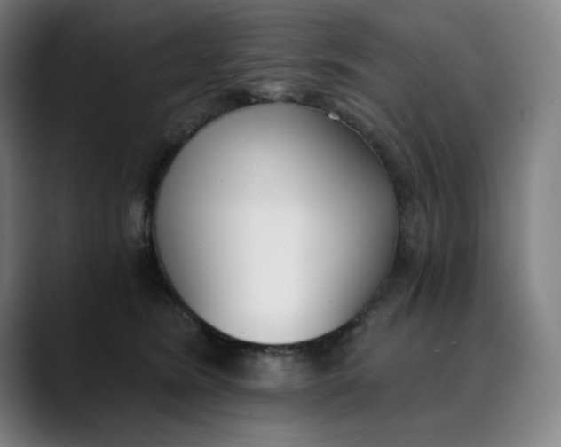 X0000089830420200707121644