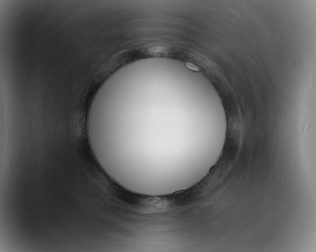 X0000089830421200707121644