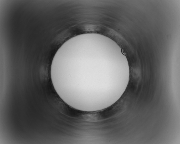 X0000089830422200707121644