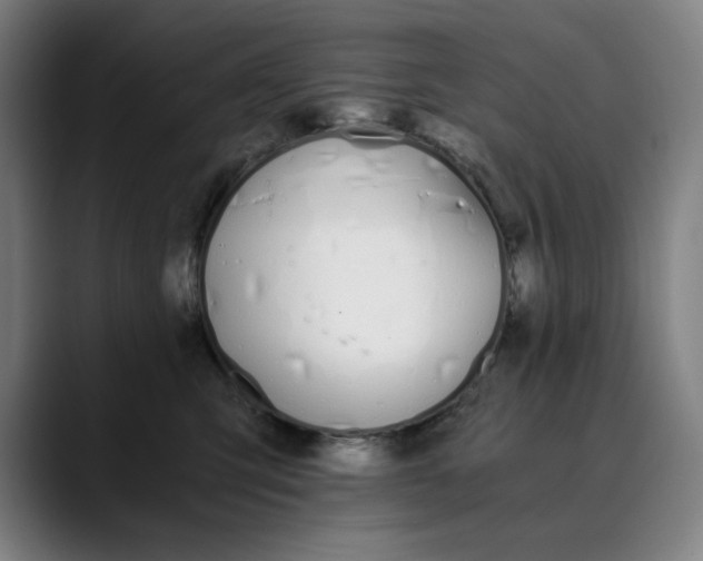 X0000089830423200707121644