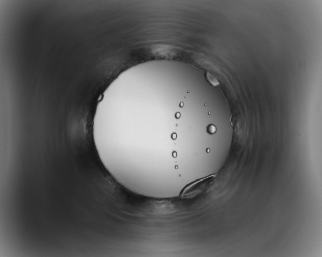 X0000089830424200707121644