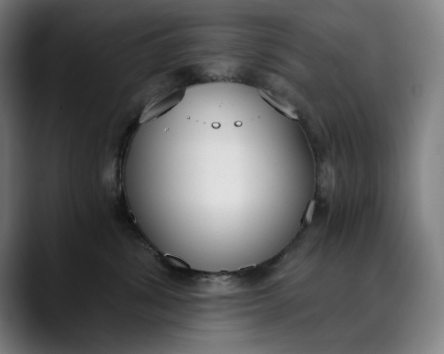 X0000089830428200707121644