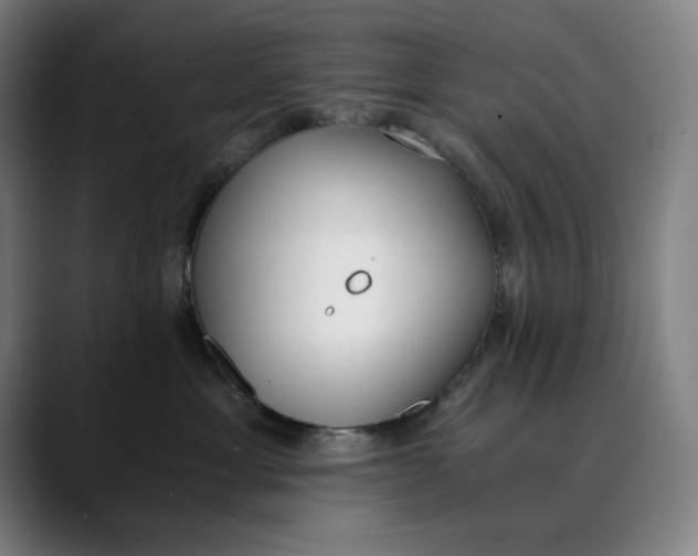 X0000089830429200707121644