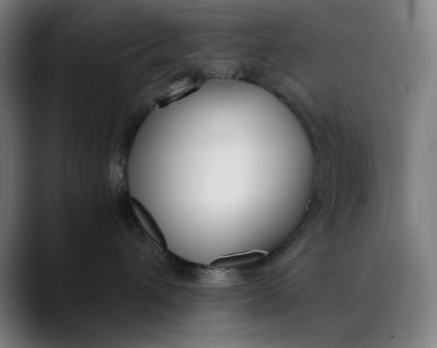 X0000089830432200707121644