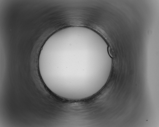 X0000089830433200707121644