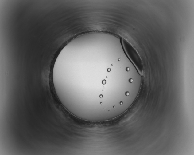 X0000089830434200707121644