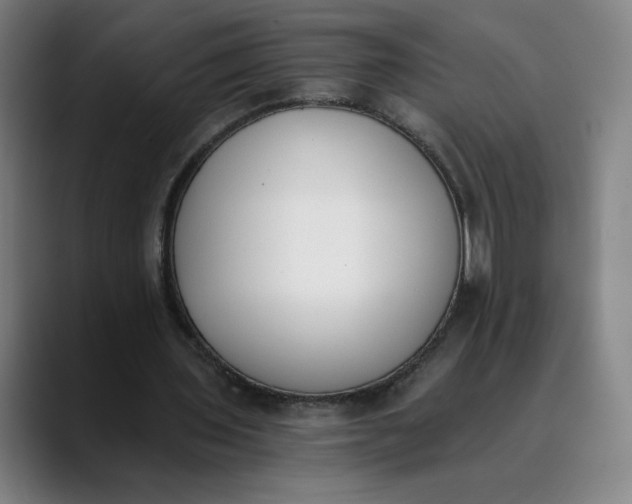 X0000089830435200707121644