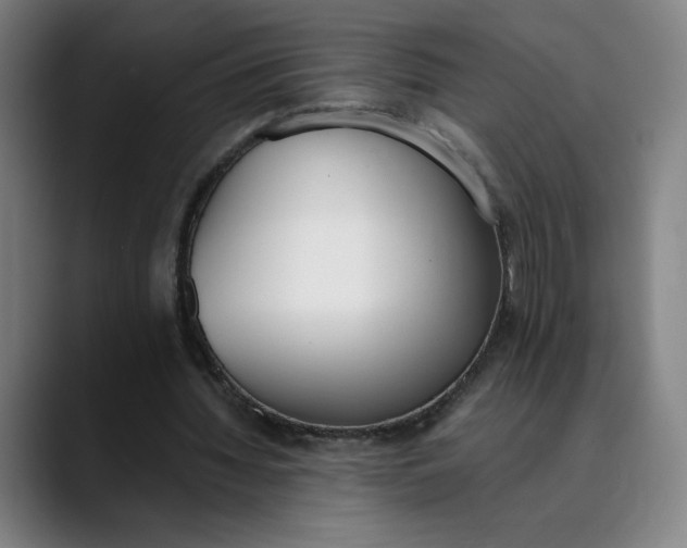 X0000089830436200707121644