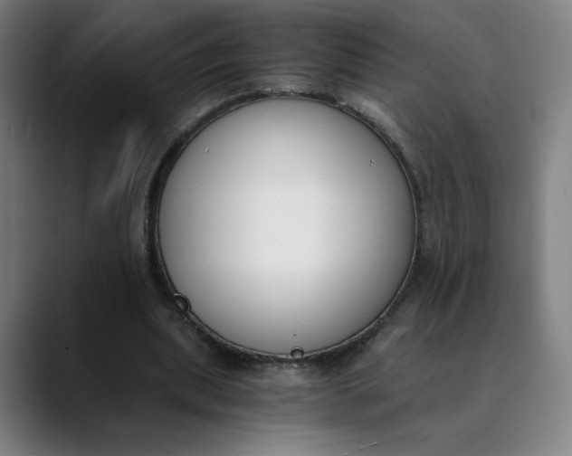 X0000089830439200707121644