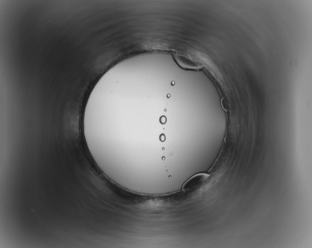 X0000089830441200707121644