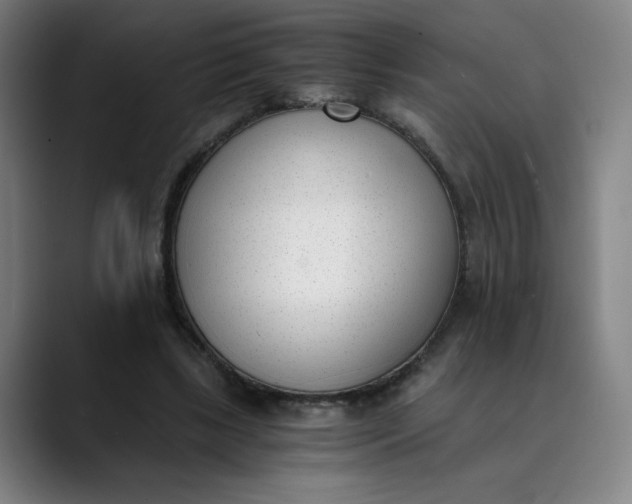 X0000089830443200707121644