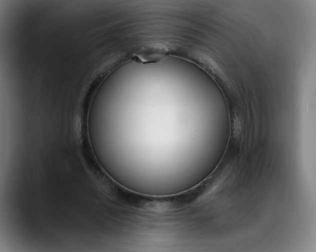 X0000089830444200707121644