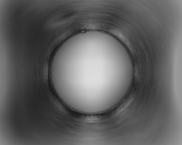 X0000089830445200707121644