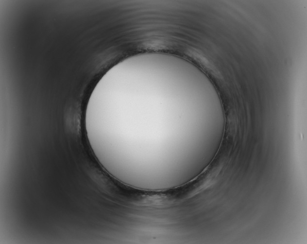 X0000089830446200707121644