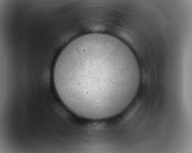 X0000089830447200707121644