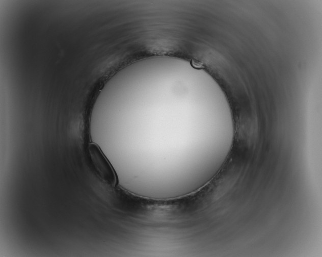 X0000089830448200707121644