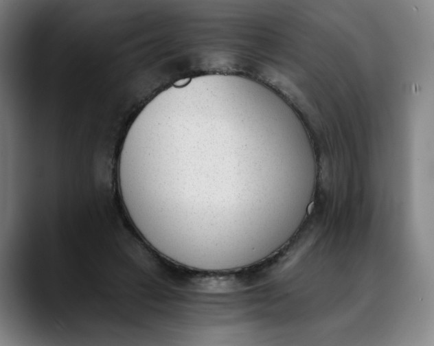 X0000089830449200707121644