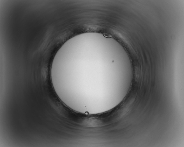 X0000089830451200707121644