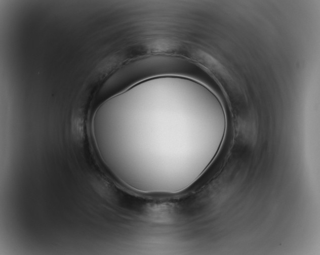 X0000089830452200707121644