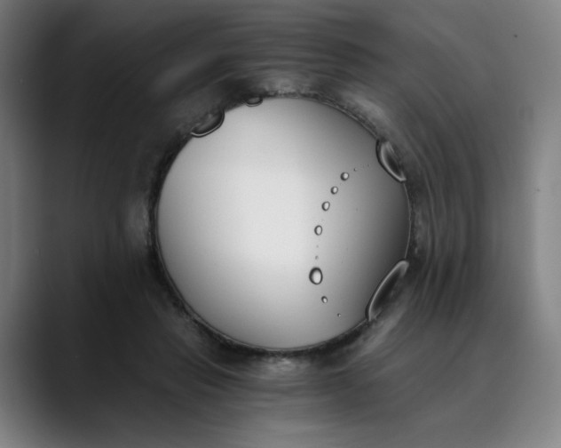 X0000089830453200707121644