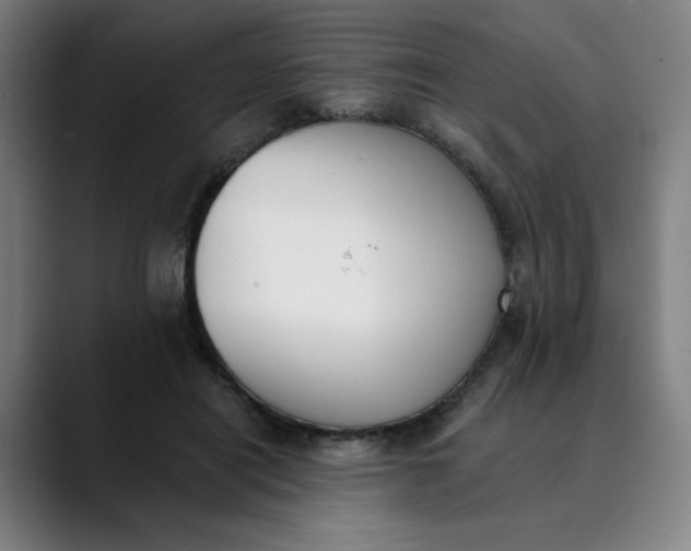 X0000089830454200707121644