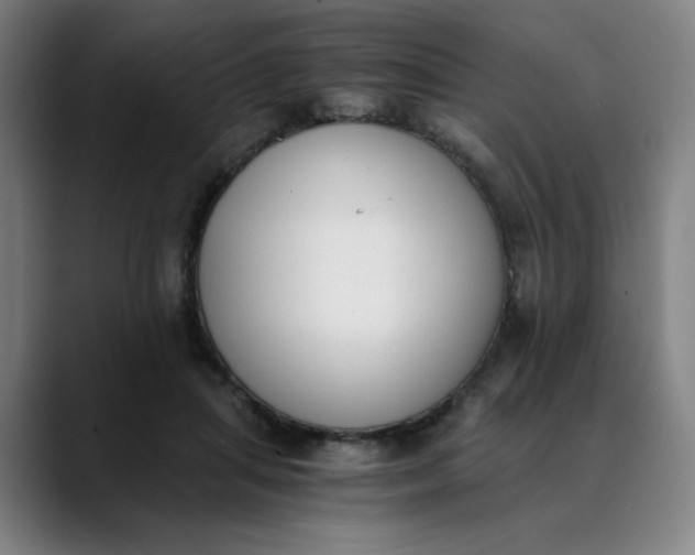 X0000089830455200707121644