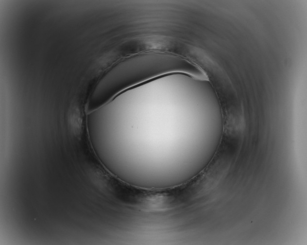 X0000089830456200707121644