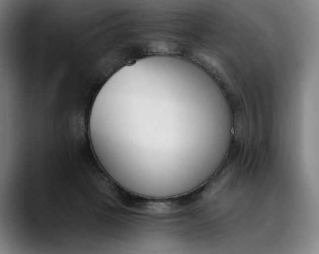 X0000089830457200707121644