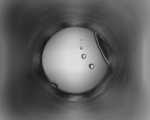 X0000089830458200707121644