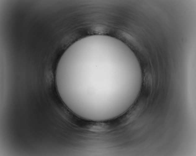 X0000089830459200707121644