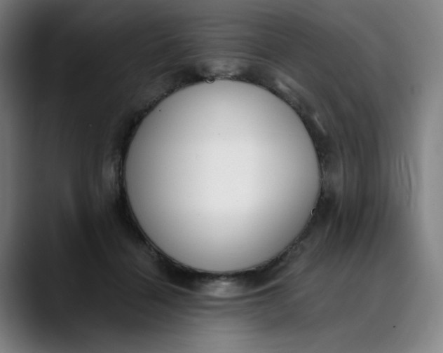 X0000089830460200707121644